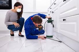 Best Pest Prevention Services  in Santa Barbara, CA